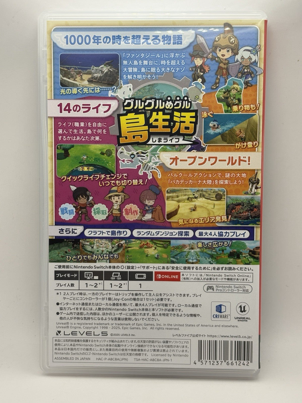 Fantasy Life i The Girl Who Steals Time Nintendo Switch Dragon RPG Japan Import