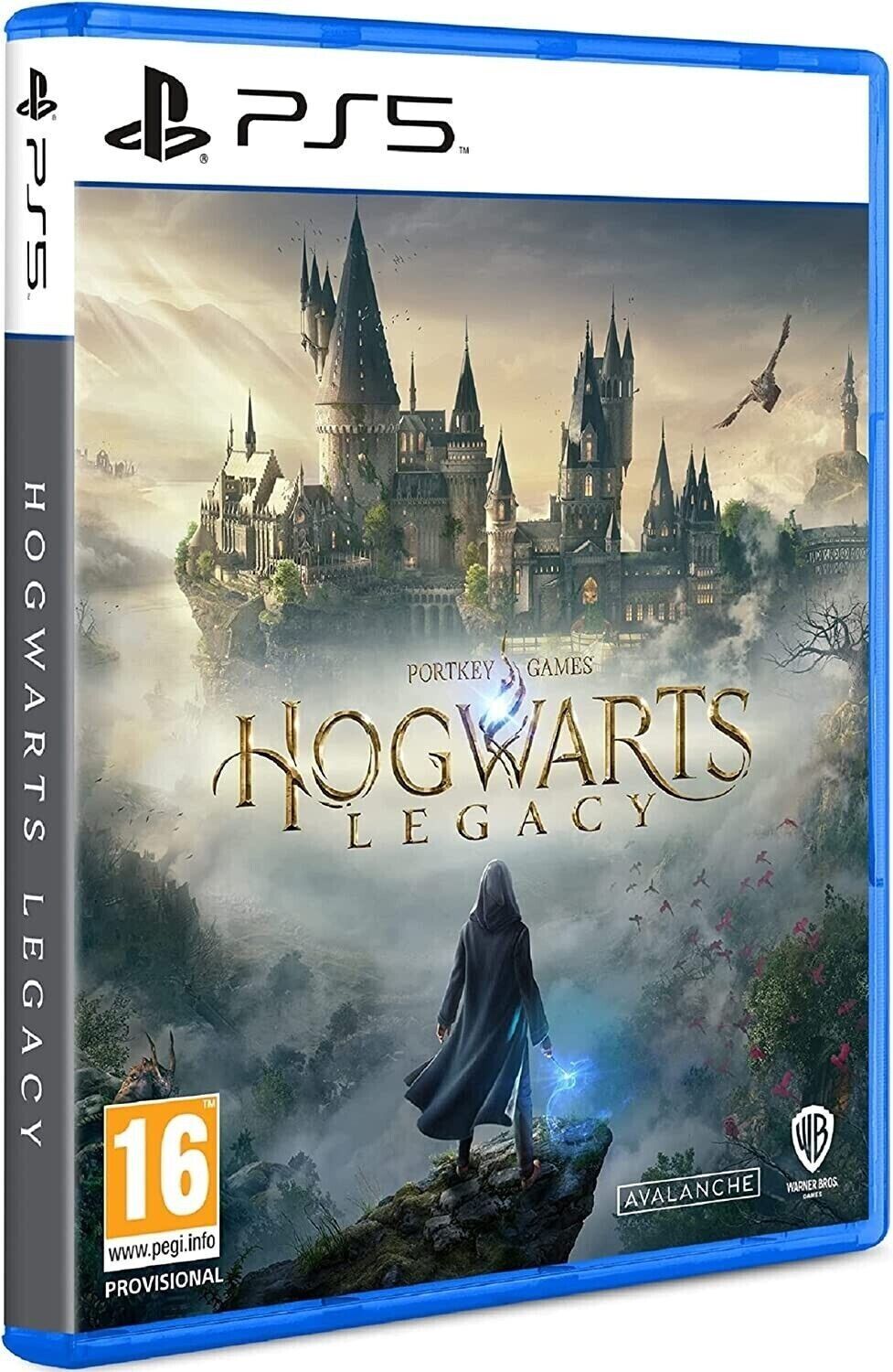 Hogwarts Legacy PS5 Game