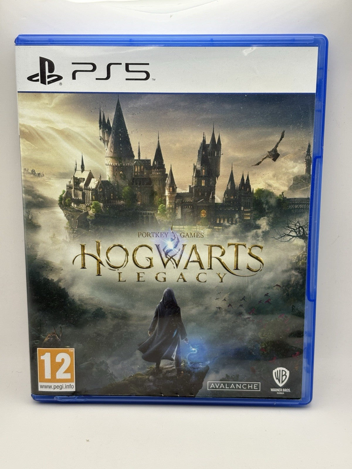 Hogwarts Legacy PS5 Game 
